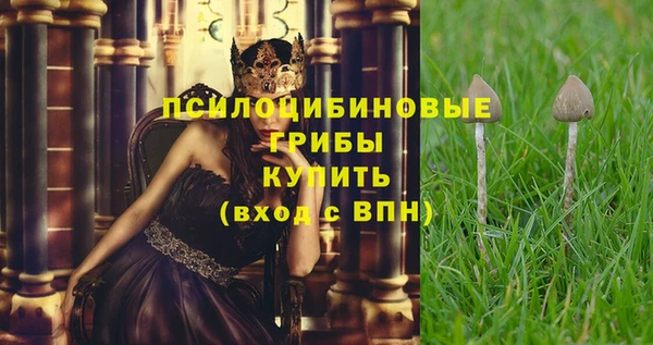 герыч Алексин