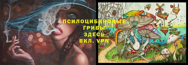 сатива Алексеевка