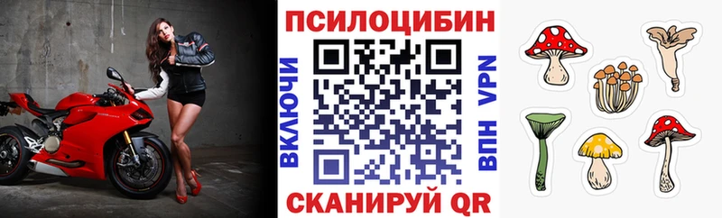 как найти закладки  Сясьстрой  Галлюциногенные грибы ЛСД 